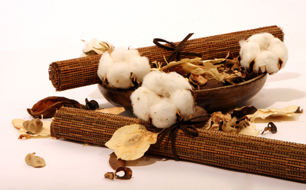 cotone organico