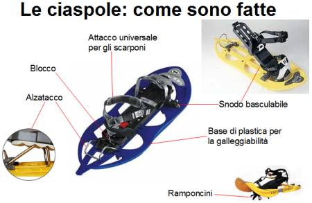 scheda tecnica