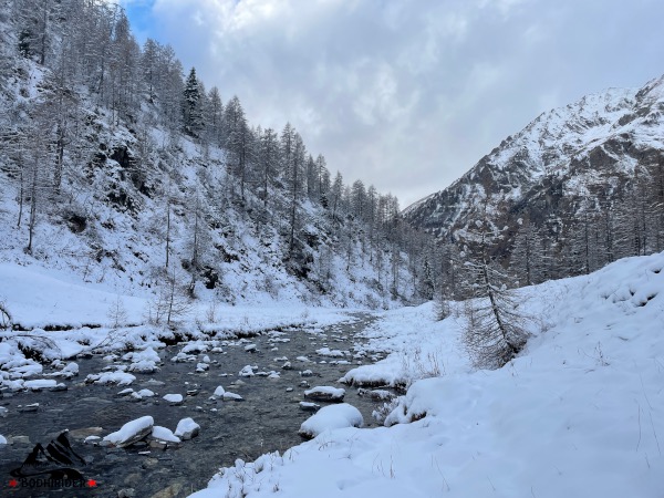 Magia invernale