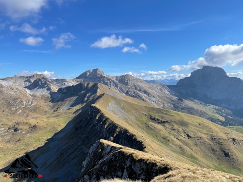 Panorami