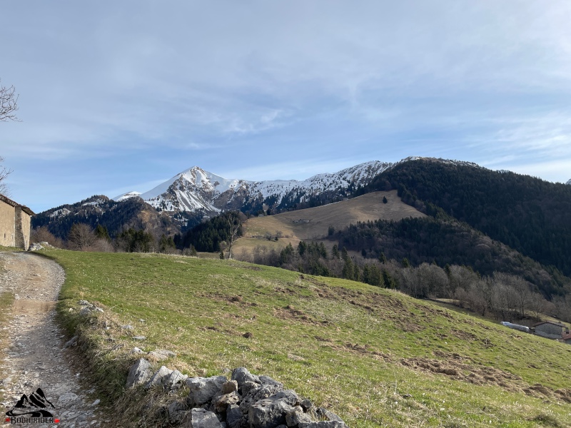 Colle Palazzo