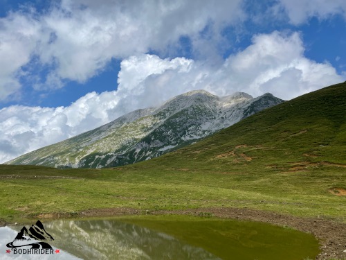 Panorami