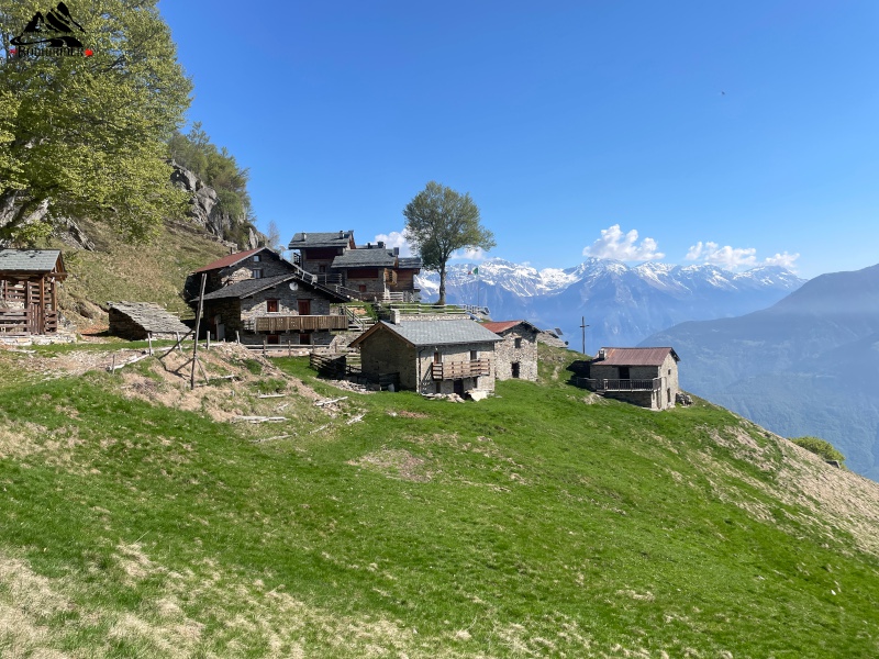 Alpe Borlasca