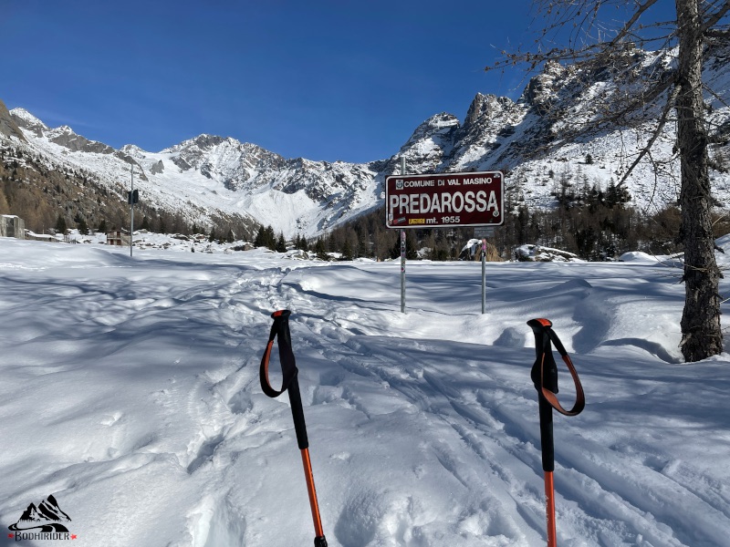 predarossa inverno