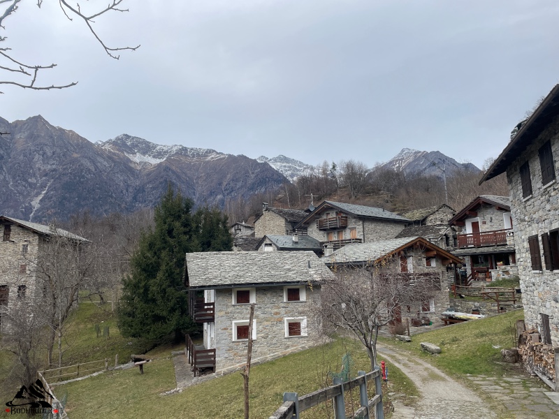 Uschione