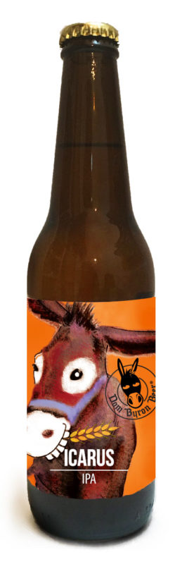 birra artigianale icarus dombyron