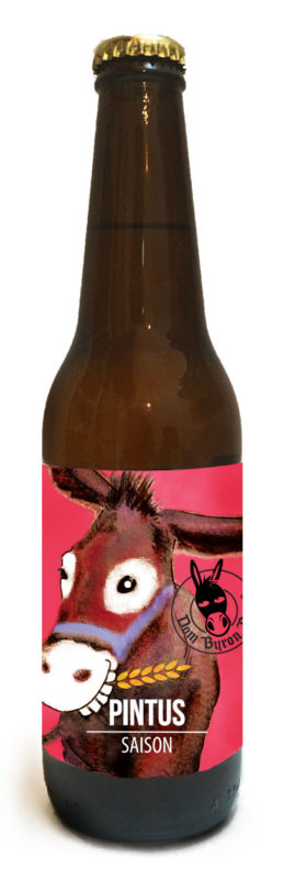 birra artigianale pintus dombyron